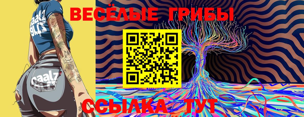Псилоцибиновые грибы мухоморы  купить закладку  Вход с VPN  Нефтекумск  Псилоцибиновые грибы ЛСД 