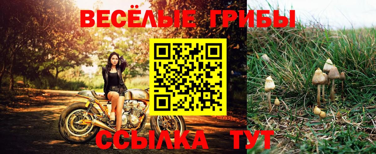 Псилоцибиновые грибы MAGIC MUSHROOMS Нефтекумск